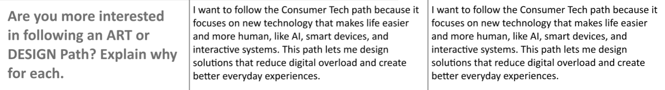 Expressing my interest for either the ART or DESIGN Path, moving forward beyond Project 1.